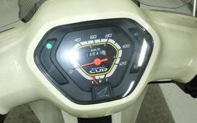HONDA C110 SUPER CUB 2013 JA10