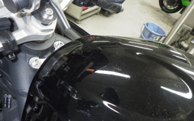 TRIUMPH DAYTONA 675 2009