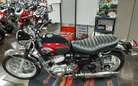 KAWASAKI W800 2024 EJ800E