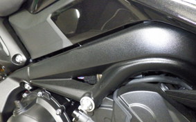 TRIUMPH STREET TRIPLE RS 2026