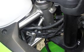 KAWASAKI ZX-4RR 2024 ZX400P