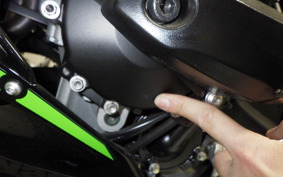 KAWASAKI NINJA ZX-6R A 2024 ZX636J
