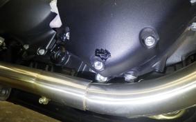 TRIUMPH SPEED TWIN 2020