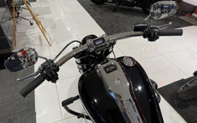 HARLEY FXBR 2023 YEZ