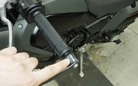 YAMAHA TENERE 700 2024 DM13J