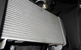 YAMAHA YZF R-3 2024 RH21J