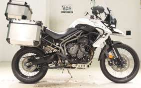 TRIUMPH TIGER 800 2019