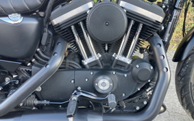 HARLEY XL883N 2021 LE2