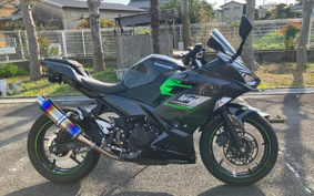 KAWASAKI NINJA 250 EX250Y
