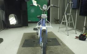 HONDA LITTLE 2019 P25