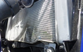 KAWASAKI NINJA 250 EX250L