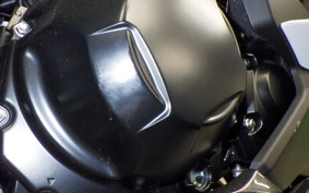 KAWASAKI NINJA1100SX 2025 ZXT10H