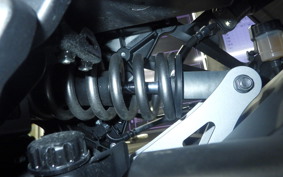 KAWASAKI NINJA 1000SX 2024 ZXT02K