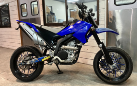 YAMAHA WR250X DG15J