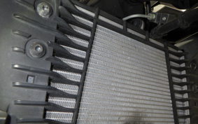 YAMAHA MT-25 A RG43J