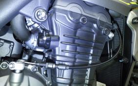 TRIUMPH SPEED TRIPLE RS 2021