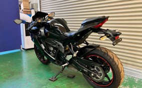 KAWASAKI NINJA ZX 25 R SE ZX250E