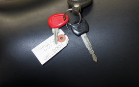 HONDA HORNET 250 2025 MC31