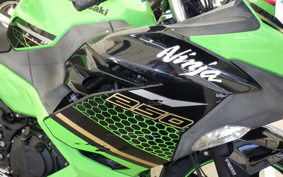 KAWASAKI NINJA 250 EX250P