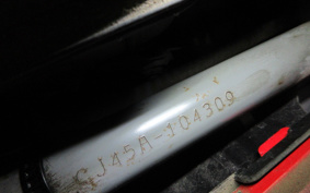 SUZUKI SKYWAVE 250M CJ45A