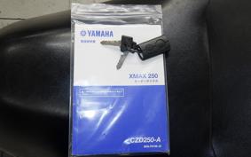 YAMAHA X-MAX 250 A 2024 SG42J