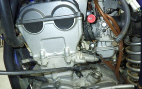 YAMAHA WR250F 2024 CG11W