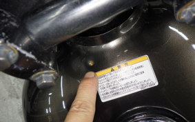KAWASAKI W800 CAFE 2020 EJ800B