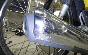 HONDA C110 SUPER CUB 2019