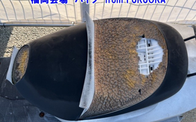 HONDA DIO