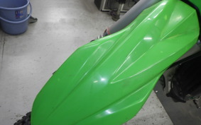 KAWASAKI KX250 F KX252A