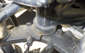 KAWASAKI NINJA 250 EX250L