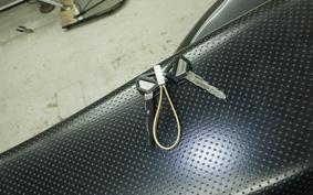 KAWASAKI KLX250D TRACKER X 2026 LX250V