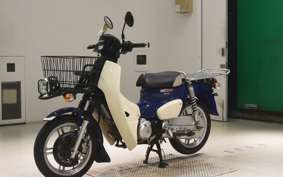 HONDA C110 SUPER CUB 2019 JA61