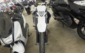YAMAHA WR250X DG15J