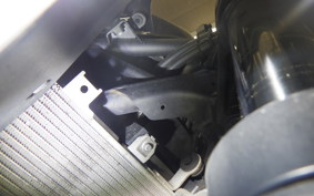 KAWASAKI NINJA 250 EX250P