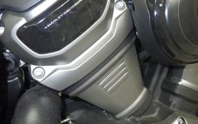HARLEY RH975S 2024