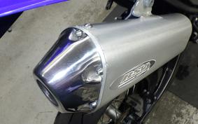 YAMAHA WR250X DG15J