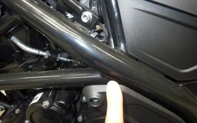BENELLI レオンチーノ250