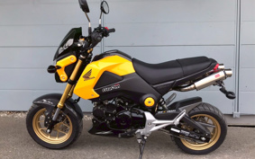 HONDA GROM JC61