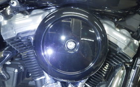 HARLEY FLSL 1750 2019