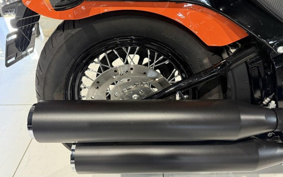 HARLEY FXBBS 2021 YYK