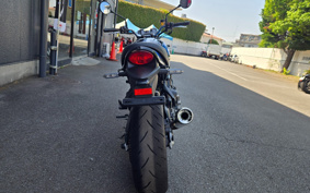 KAWASAKI Z900RS 2024 8BL