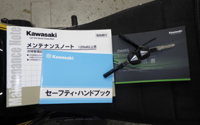 KAWASAKI Z900RS SE 2024