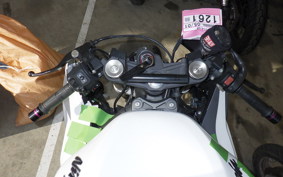 KAWASAKI NINJA ZX-6R A 2020 ZX636G