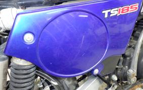 SUZUKI TS185 2023