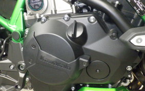 KAWASAKI ZH2 2020 ZRT00K