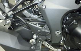 KAWASAKI NINJA 1000SX 2024 ZXT02K