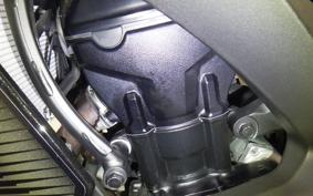 KAWASAKI NINJA 1000SX 2024 ZXT02K