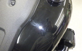 HARLEY FXLRS1920 2022