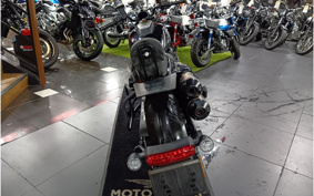 HARLEY RH1250S 2022 ZC4